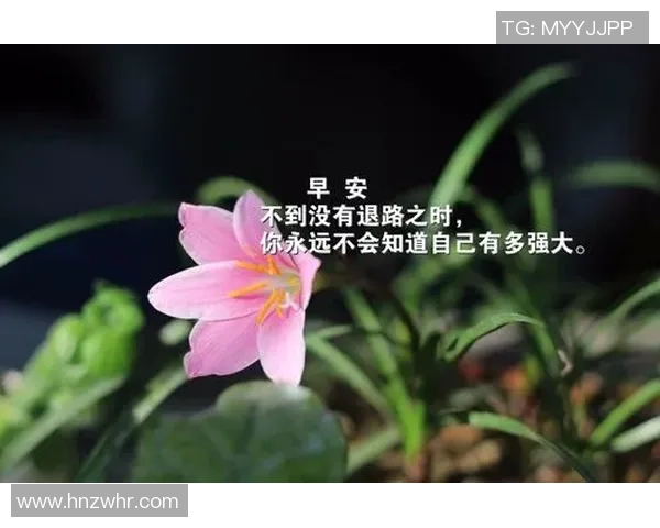 非洲足球明星的励志语录激励你追逐梦想与成功的旅程