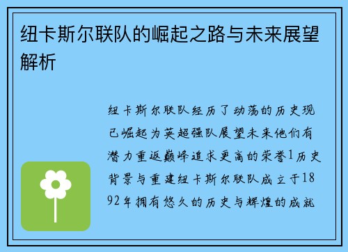 纽卡斯尔联队的崛起之路与未来展望解析